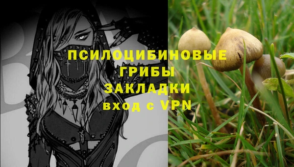 спайс Армянск