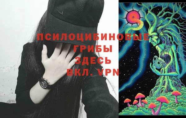 соль ск Аркадак